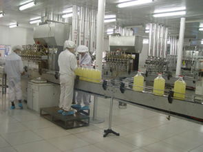 秦皇岛金海粮油 以匠心工艺守护餐桌安全