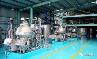 西王食品精炼一厂 以团队建设为基，铸就行业标杆新高度